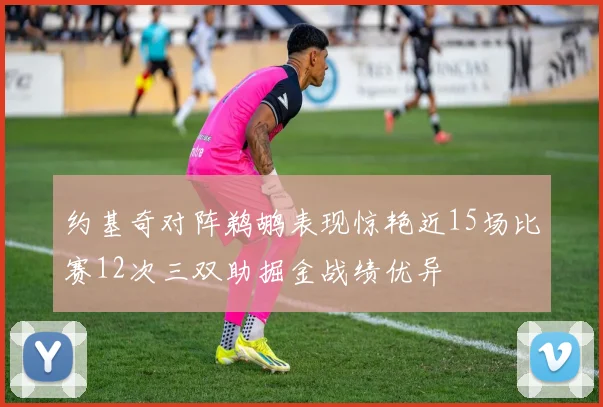 约基奇对阵鹈鹕表现惊艳近15场比赛12次三双助掘金战绩优异