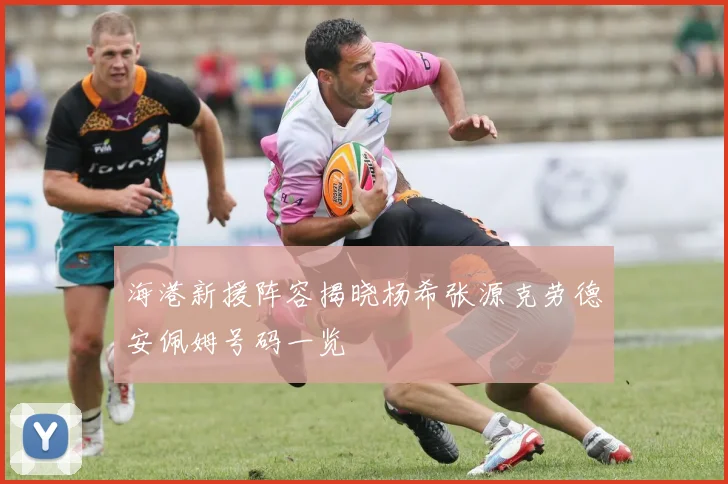 海港新援阵容揭晓杨希张源克劳德安佩姆号码一览